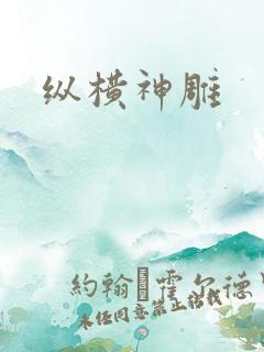 纵横神雕