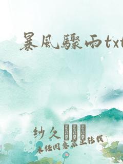 暴风骤雨txt