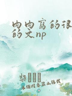 肉肉写的很细致的文np