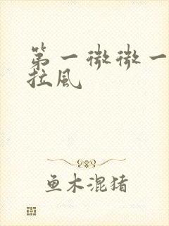 第一微微一笑很拉风