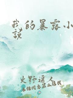 我的暴露小说小说