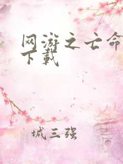 网游之亡命天涯下载