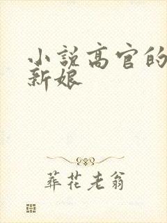 小说高官的暗夜新娘