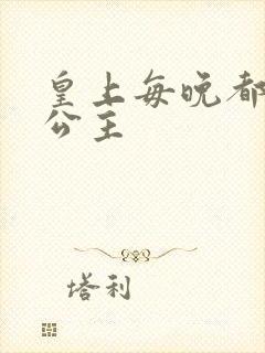 皇上每晚都要H公主