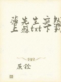 薄先生突然黏她上瘾txt下载