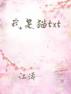 我是猫txt