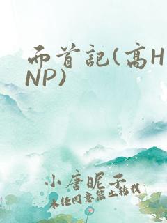 面首记(高H NP)