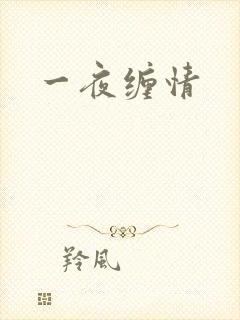 一夜缠情
