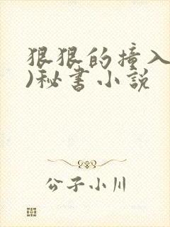 狠狠的撞入(h)秘书小说