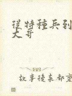 从特种兵到黑道大哥