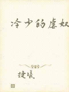 冷少的虐奴