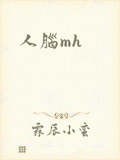 人脑mh