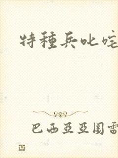 特种兵叱咤异界