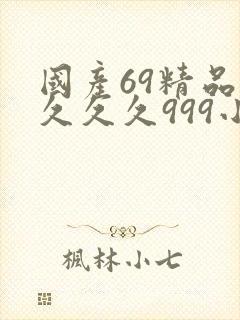 国产69精品久久久久999小说