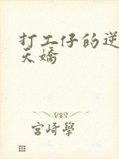 打工仔的逆袭楚天娇