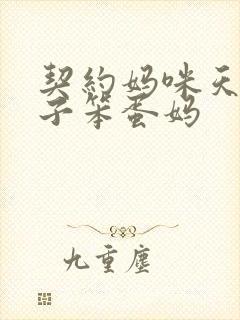 契约妈咪天才儿子笨蛋妈