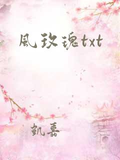 风玫瑰txt