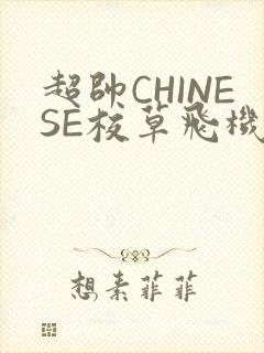 超帅CHINESE校草飞机BLUE