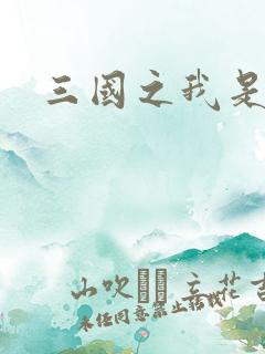 三国之我是华雄