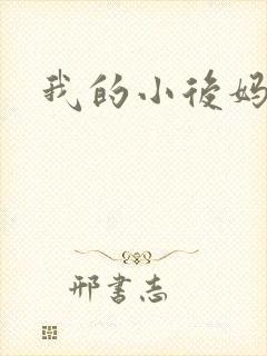 我的小后妈小说