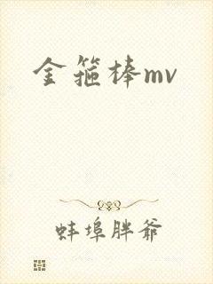 金箍棒mv