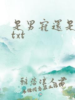 是男宠还是禁脔txt