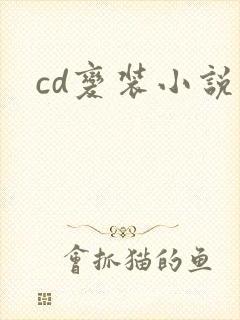 cd变装小说
