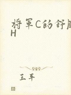 将军C的舒服么H