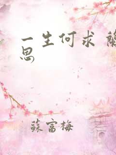 一生何求 兰思思