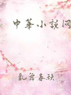 中华小说网