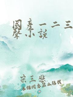 国产一二三区有声小说