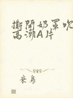 撕开奶罩吮奶头高潮A片