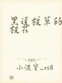 黑道校草的黑道校花
