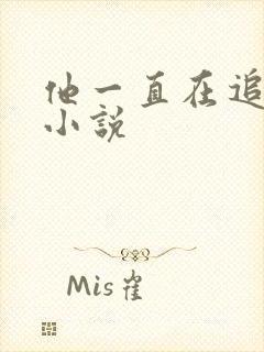 他一直在追初恋小说