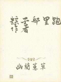 粽子哪里跑小说作者