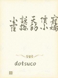 小说天价宠妻:霍总的小娇妻