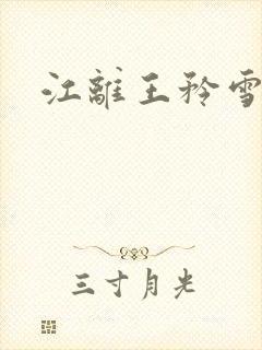 江离王矜雪小说