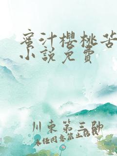 蜜汁樱桃苦咖啡小说免费