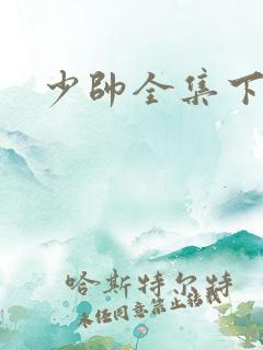 少帅全集下载