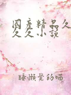 国产精品久久久久久小说