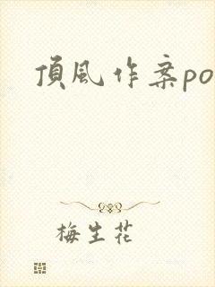 顶风作案po