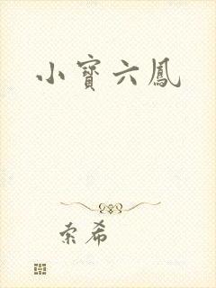 小宝六凤