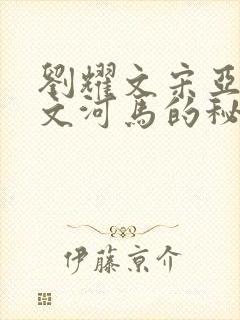 刘耀文宋亚轩车文河马的秘密河润滑油