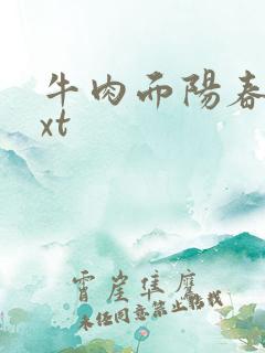 牛肉面阳春面txt