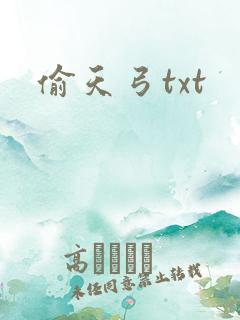 偷天弓txt