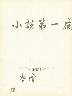 小说第一庶女