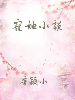 宠她小说
