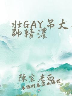 壮GAY吊大人帅精浓