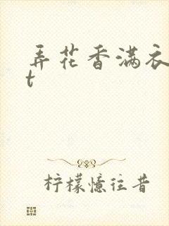 弄花香满衣txt