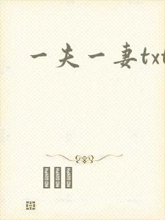 一夫一妻txt
